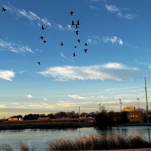 Meet your Posher, L P - Picture 5 of 13